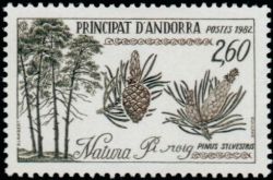 timbre Andorre N° 307 légende : Pin sylvestre