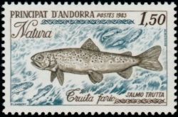 timbre Andorre N° 312 légende : Truite