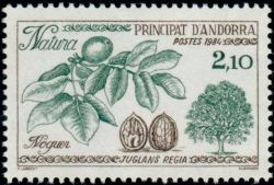 timbre Andorre N° 332 légende : Noyer