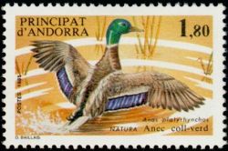 timbre Andorre N° 342 légende : Anas platyrhynchos