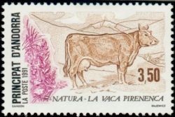 timbre Andorre N° 406 légende : La vache pyrénéenne