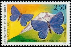 timbre Andorre N° 432 légende : Papillon Polymmatus icarus