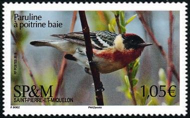 timbre de Saint-Pierre et Miquelon N° 1214 légende : Paruline à poitrine baie