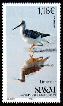 timbre de Saint-Pierre et Miquelon x légende : Limicole
