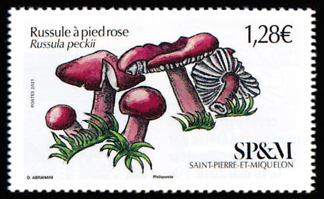 timbre de Saint-Pierre et Miquelon x légende : Russule à pied rose