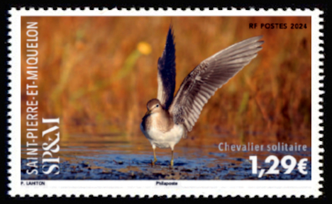 timbre de Saint-Pierre et Miquelon x légende : Chevalier solitaire