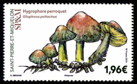 timbre de Saint-Pierre et Miquelon x légende : HYGROPHORE PERROQUET