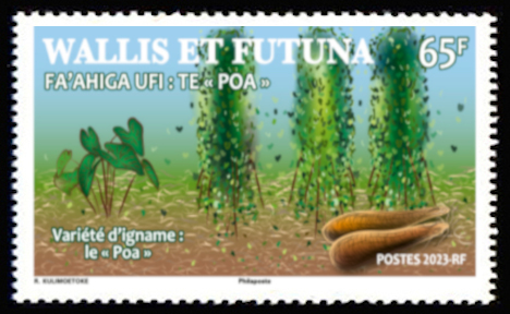 timbre de Wallis et Futuna x légende : Igname «FAAHIGA UFI : TE POA L'IGNAME»