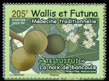 timbre de Wallis et Futuna x légende : La noix de bancoule «TE TUITUI»