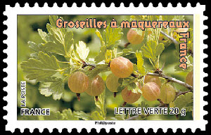 timbre N° 691, Des fruits pour une lettre verte