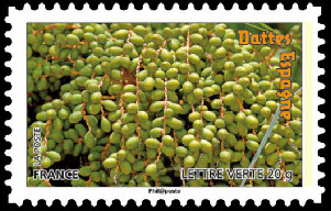 timbre N° 693, Des fruits pour une lettre verte