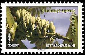  Des fruits pour une lettre verte <br>Bananes vertes Indonésie