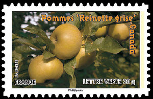  Des fruits pour une lettre verte <br>Pommes «Reinette grise» - Canada