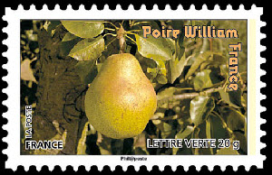  Des fruits pour une lettre verte <br>Poire William - France