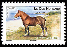 Chevaux