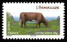  Les vaches de nos régions, races bovines rares 