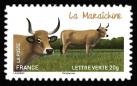  Les vaches de nos régions, races bovines rares 