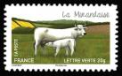  Les vaches de nos régions, races bovines rares 