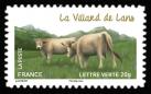  Les vaches de nos régions, races bovines rares 