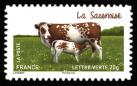  Les vaches de nos régions, races bovines rares 