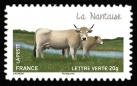  Les vaches de nos régions, races bovines rares 