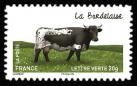  Les vaches de nos régions, races bovines rares 