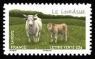  Les vaches de nos régions, races bovines rares 