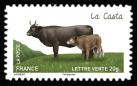  Les vaches de nos régions, races bovines rares 