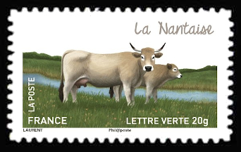 Les vaches de nos régions, races bovines rares