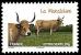 timbre N° 956, Les vaches de nos régions, races bovines rares