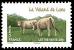 timbre N° 958, Les vaches de nos régions, races bovines rares
