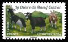  Plus d'un million de chèvres et parmi elles, La chèvre du Massif Central 