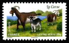  Plus d'un million de chèvres et parmi elles, La Corse 