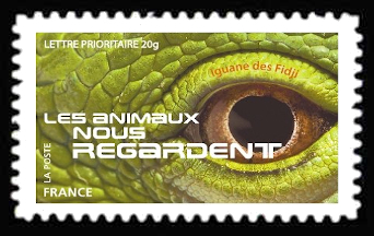  Les animaux nous regardent <br>Iguane des Fidji