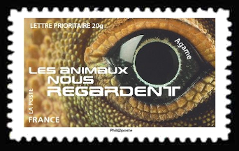 timbre N° 1157, Les animaux nous regardent