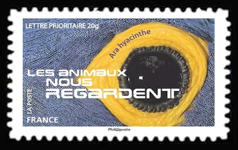 timbre N° 1158, Les animaux nous regardent