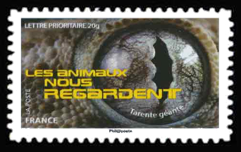 timbre N° 1160, Les animaux nous regardent