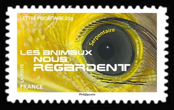 timbre N° 1161, Les animaux nous regardent