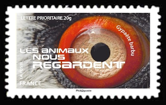 timbre N° 1163, Les animaux nous regardent