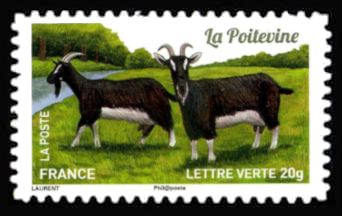 timbre N° 1097, Chèvres, plus d'un million de chèvres