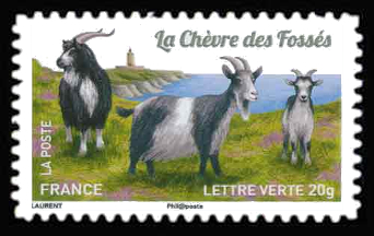 timbre N° 1102, Chèvres, plus d'un million de chèvres