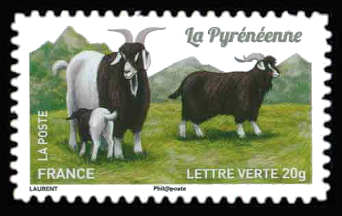  Chèvres, plus d'un million de chèvres <br>La Pyrénéenne
