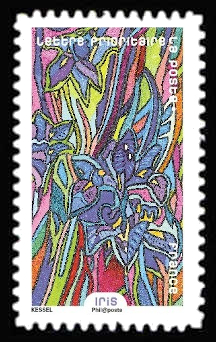  Fleurs à foison ( Iris ) 