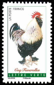  Coqs de France <br>Coq Faverolles