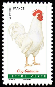  Coqs de France <br>Coq Gatinais