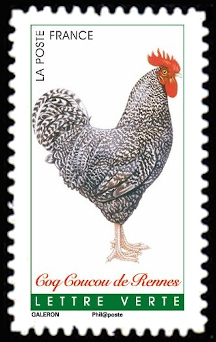 Coqs de France ( coq coucou de Rennes )