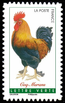  Coqs de France <br>Coq Marans