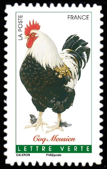  Coqs de France <br>Coq Meusien