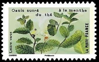  Les sens «Le goût» <br>Oasis sucré du thé à la menthe