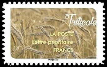 timbre N° 1453, Carnet « Une moisson de céréales » 